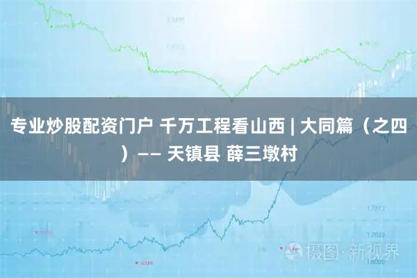 专业炒股配资门户 千万工程看山西 | 大同篇（之四）—— 天镇县 薛三墩村